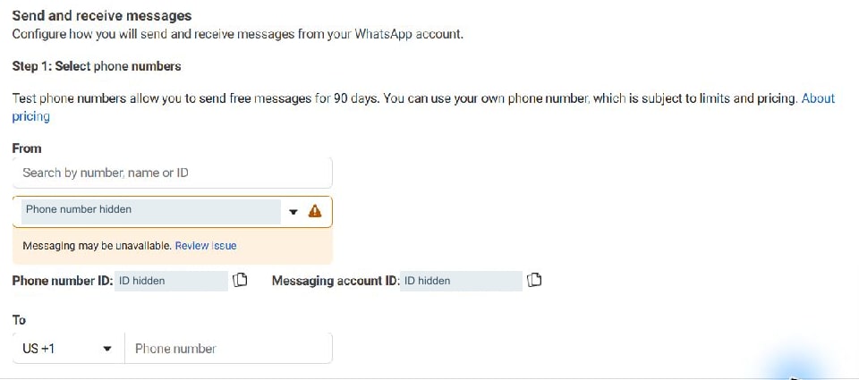 Meta ID screen · Find Phone number ID and Messaging account ID for the selected number. Phone and IDs are hidden. A provider warning here needs investigation; this screenshot is not a successful connection test.