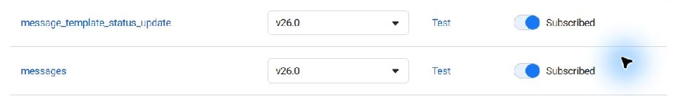 Meta webhook screen 2 · The messages and message_template_status_update rows show their subscription controls. This records the existing view; no subscription was changed for this guide.